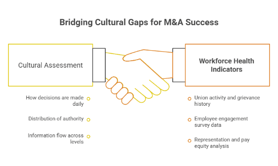 Bridging Cultural Gaps for M Success