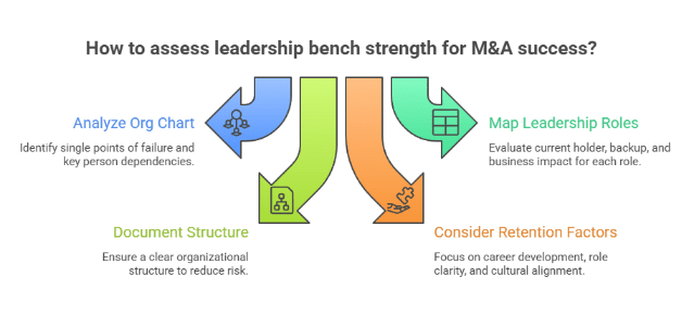 How to assess leadership bench strength for M success