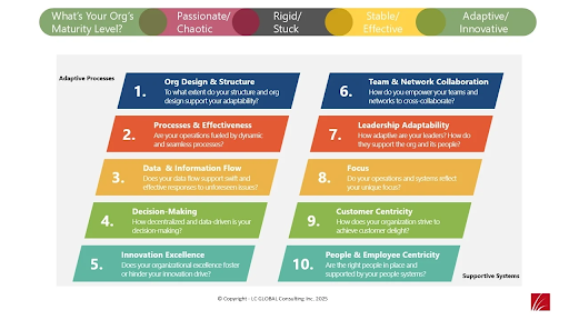 Organization Maturity Level