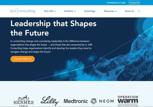 AIIR Consulting website