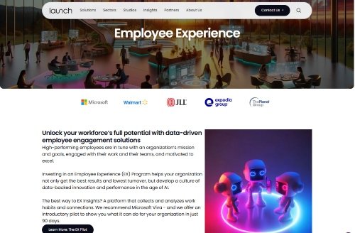 Launch Consulting website
