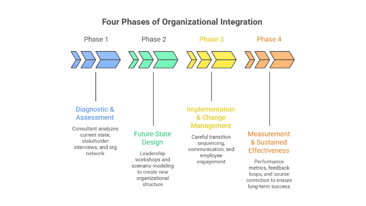 Four Phases of Organizational Integration Process Explained