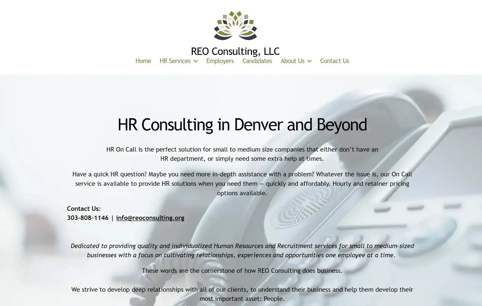 REO Consulting website