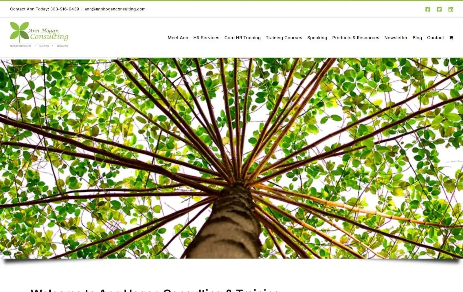Ann Hogan Consulting website