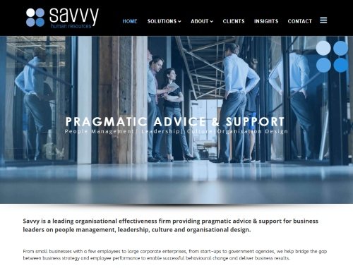 Savvy Human Resources website