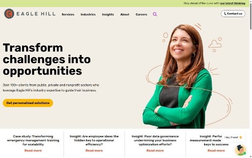 Eagle Hill Consulting website