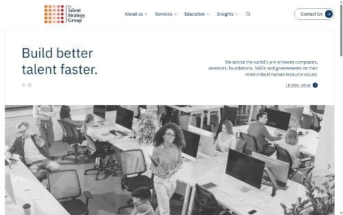 The Talent Strategy Group website