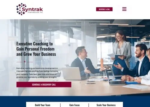 Syntrak International website