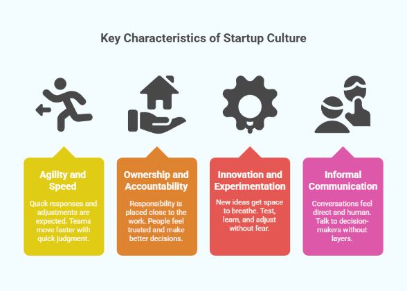 Key characteristics of startup culture