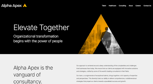 Alpha Apex Group website