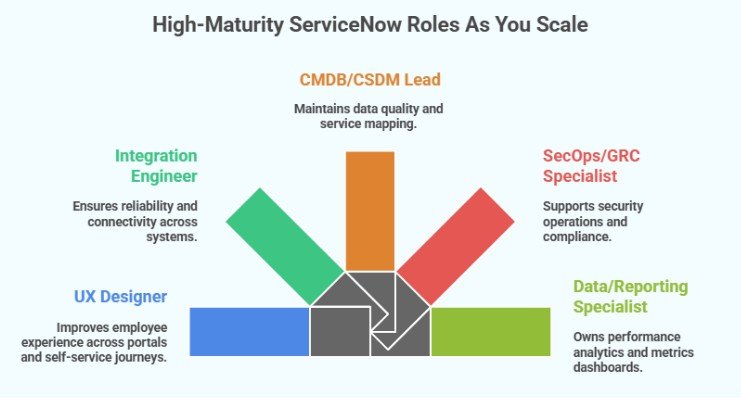 High-maturity ServiceNow roles as you scale