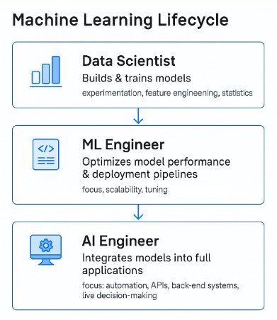 Machine learning lifecycle roles: data scientist, ML engineer and AI engineer