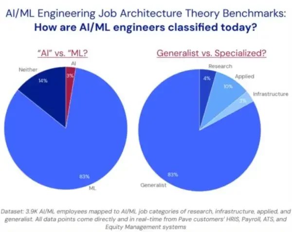 Pie charts showing how AI and ML engineers are classified today