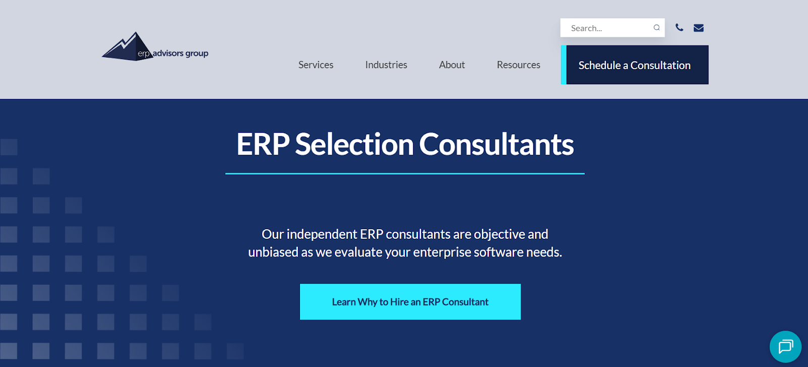 ERP Advisors Group website