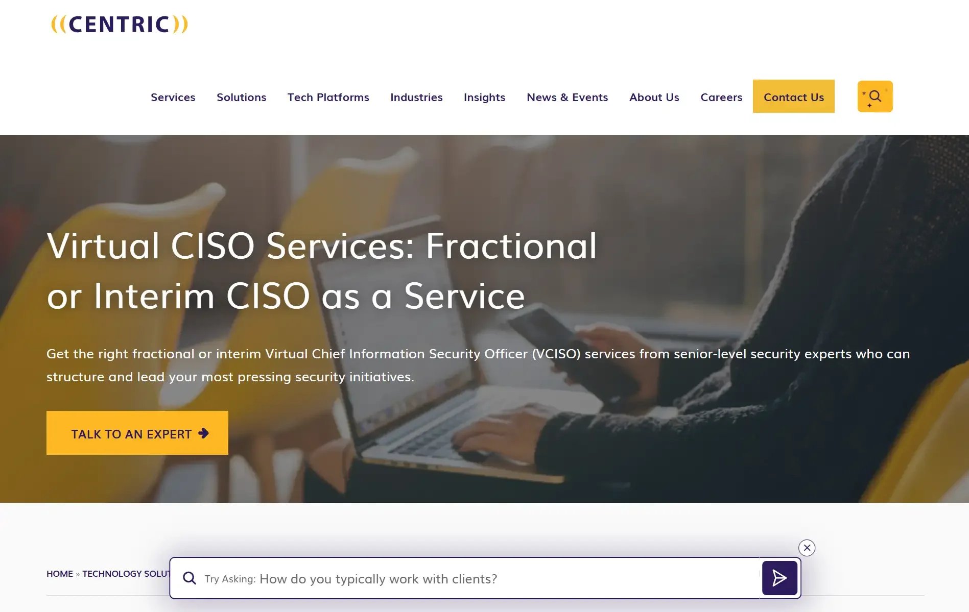 Centric Consulting website