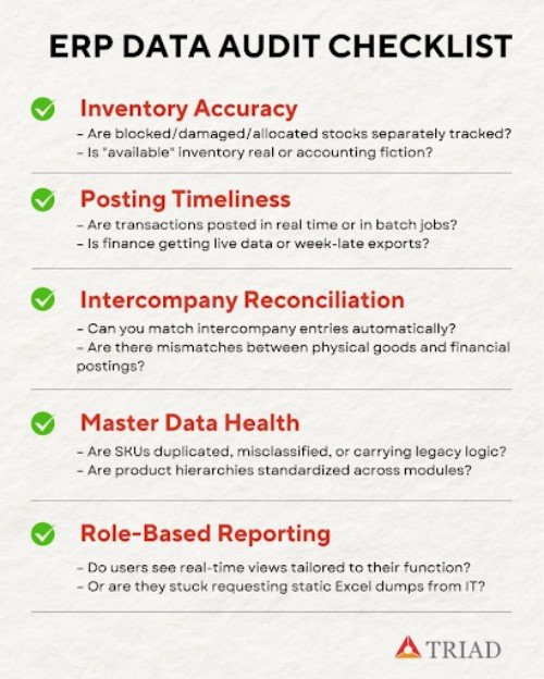 ERP Data Audit Checklist resize