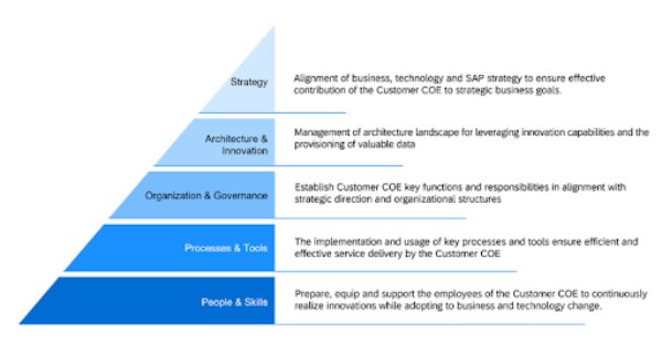 How a Center of Excellence anchors ERP resize