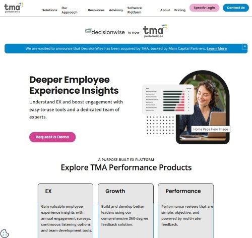 DecisionWise website