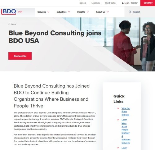 Blue Beyond Consulting website