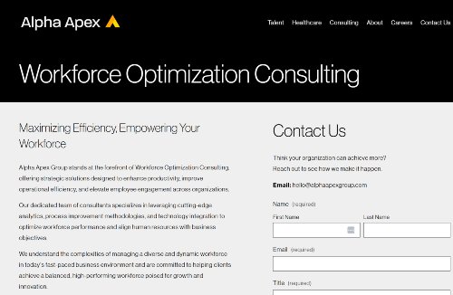 Alpha Apex Group workforce optimization consulting page