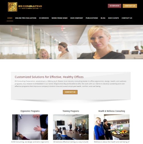 E3 Consulting resize