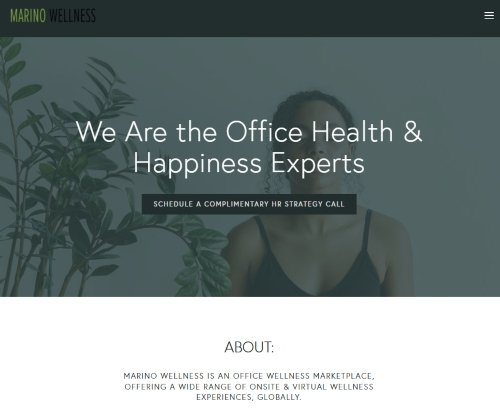 Marino Wellness website