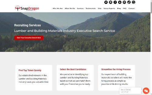 SnapDragon Associates website