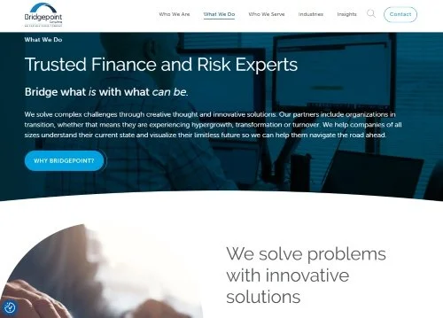 Bridgepoint Consulting website