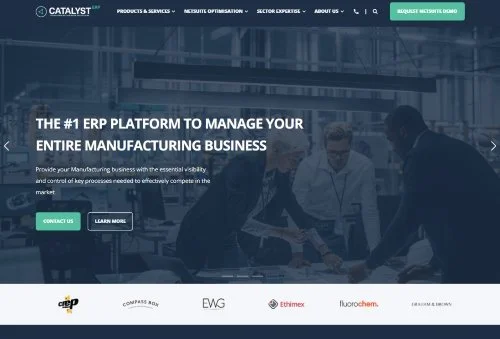 Catalyst ERP website