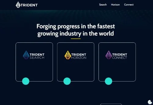 Trident Search website