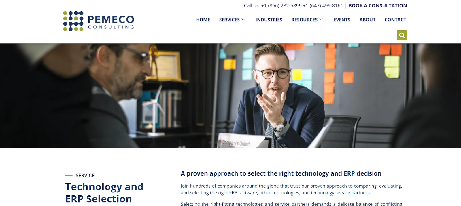 Pemeco Consulting website