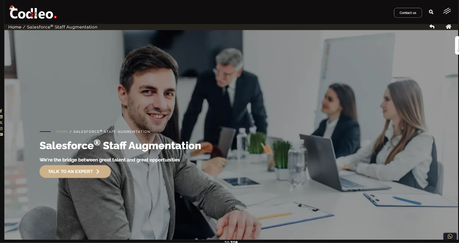 Codleo Consulting website