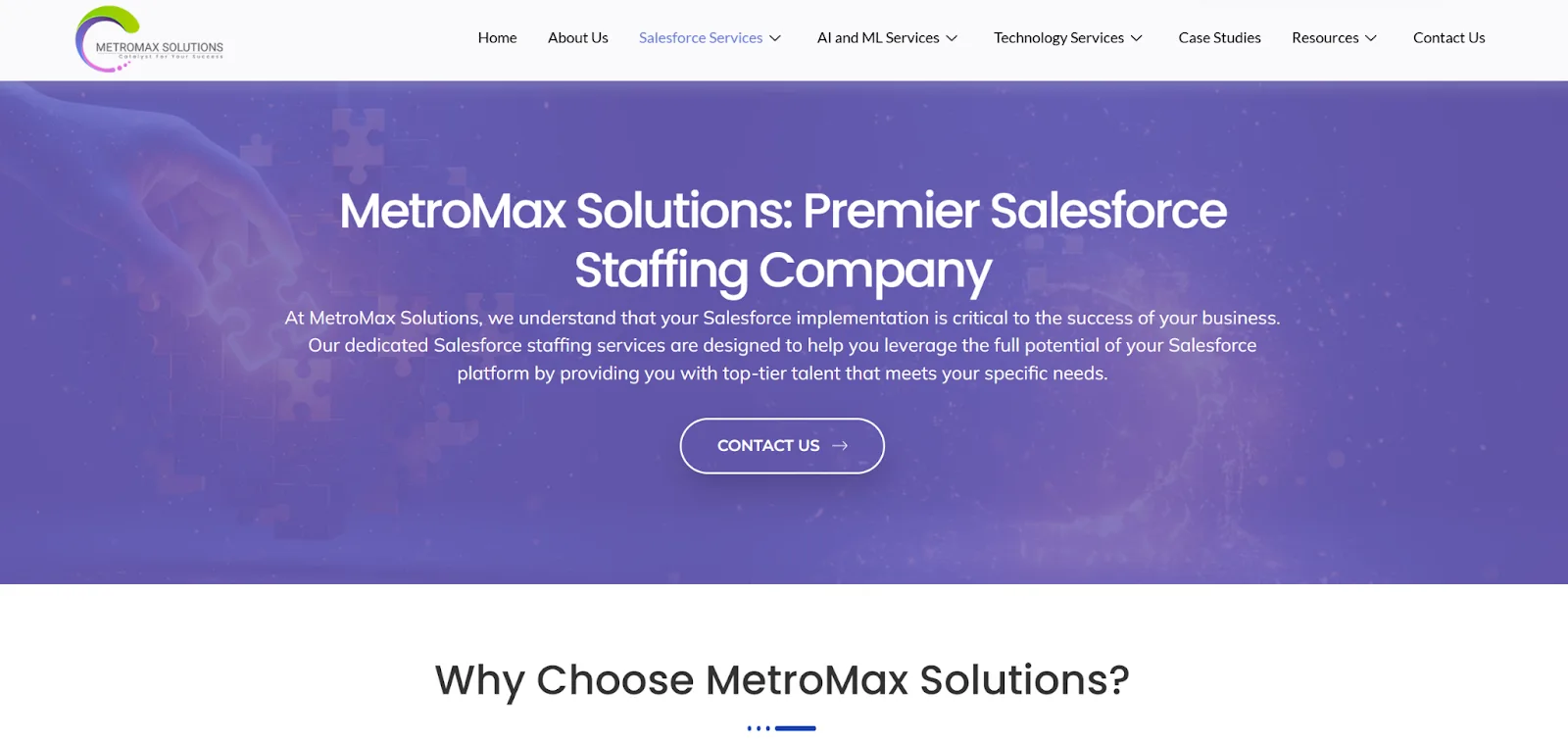 MetroMax Solutions website