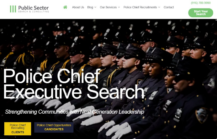 Public Sector Search & Consulting