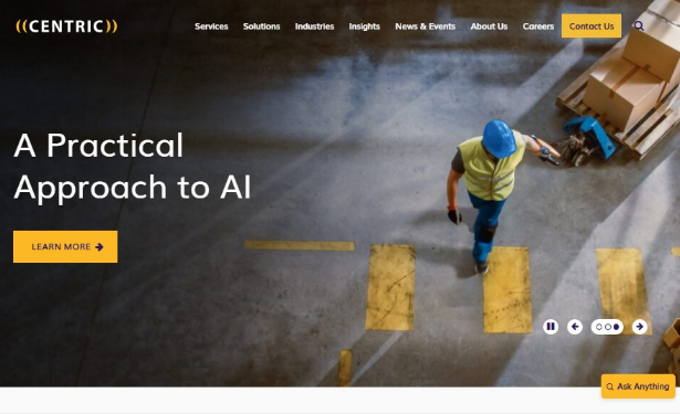 Centric Consulting