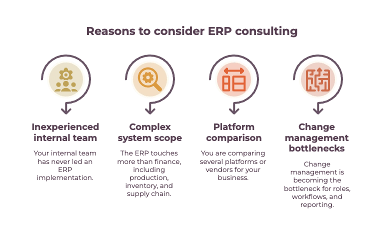 Reasons to consider ERP Consulting