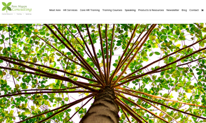 Ann Hogan Consulting website