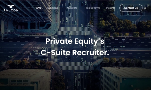 Falcon Partners website