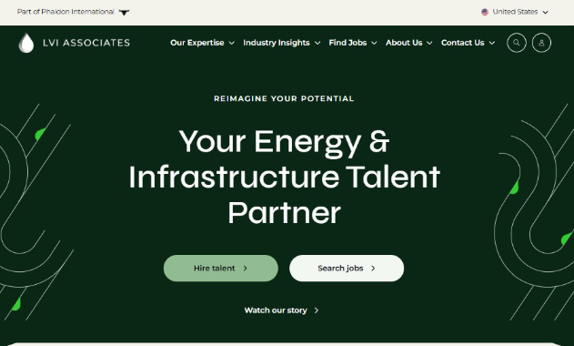 LVI Associates website