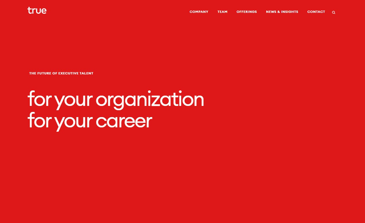True Search website