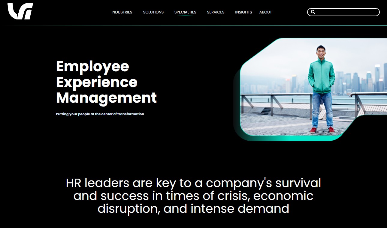 LSI Consulting website