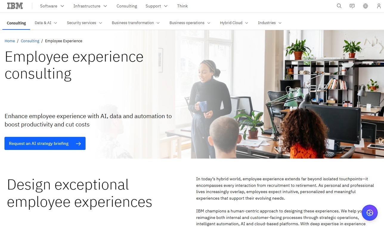 IBM website