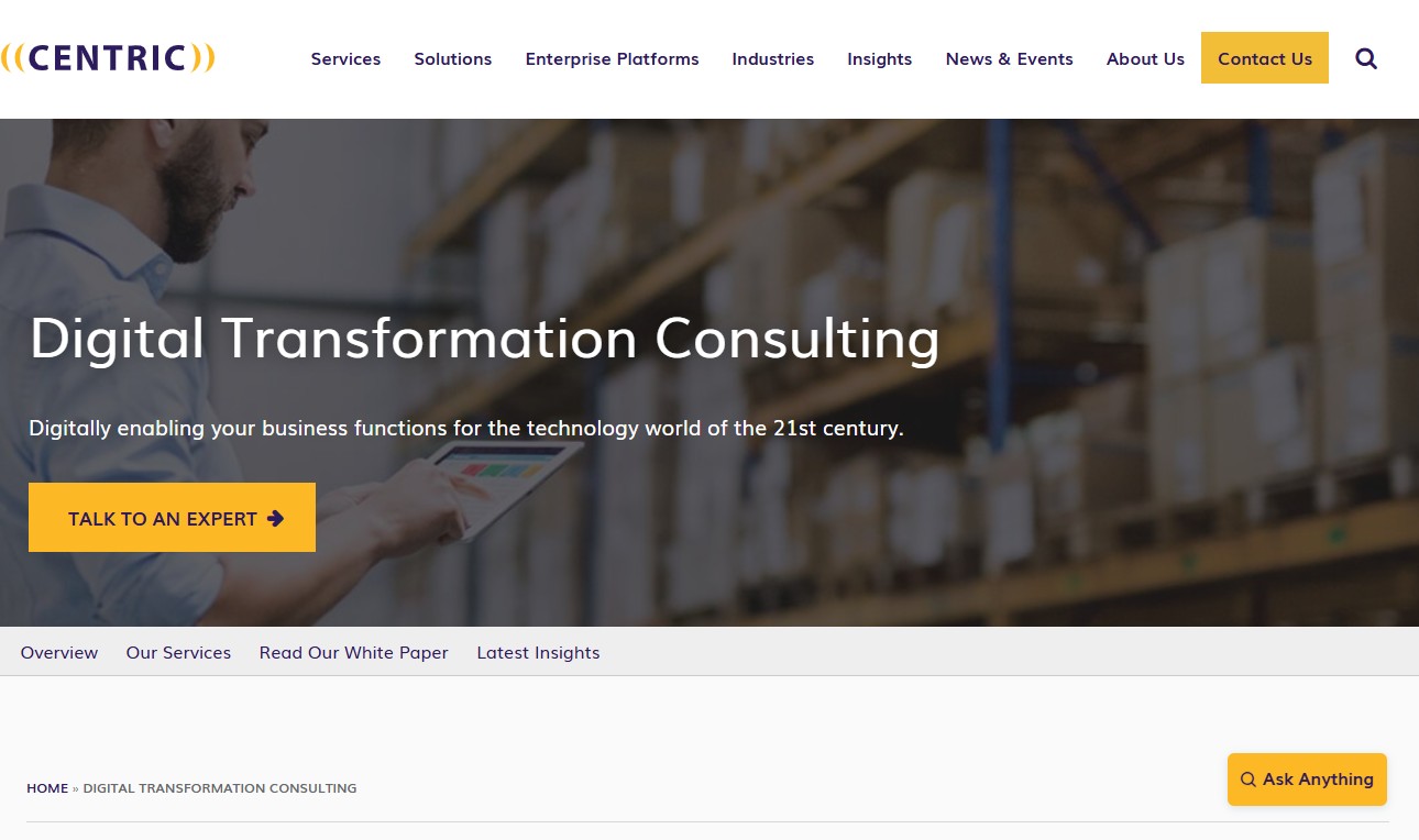 Centric Consulting website