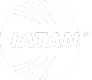 Abstract globe with horizontal curved lines and the word IATAN inside it.