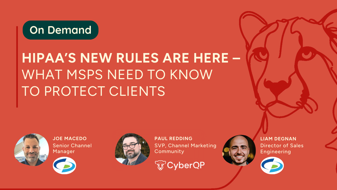 HIPAA's new security rules