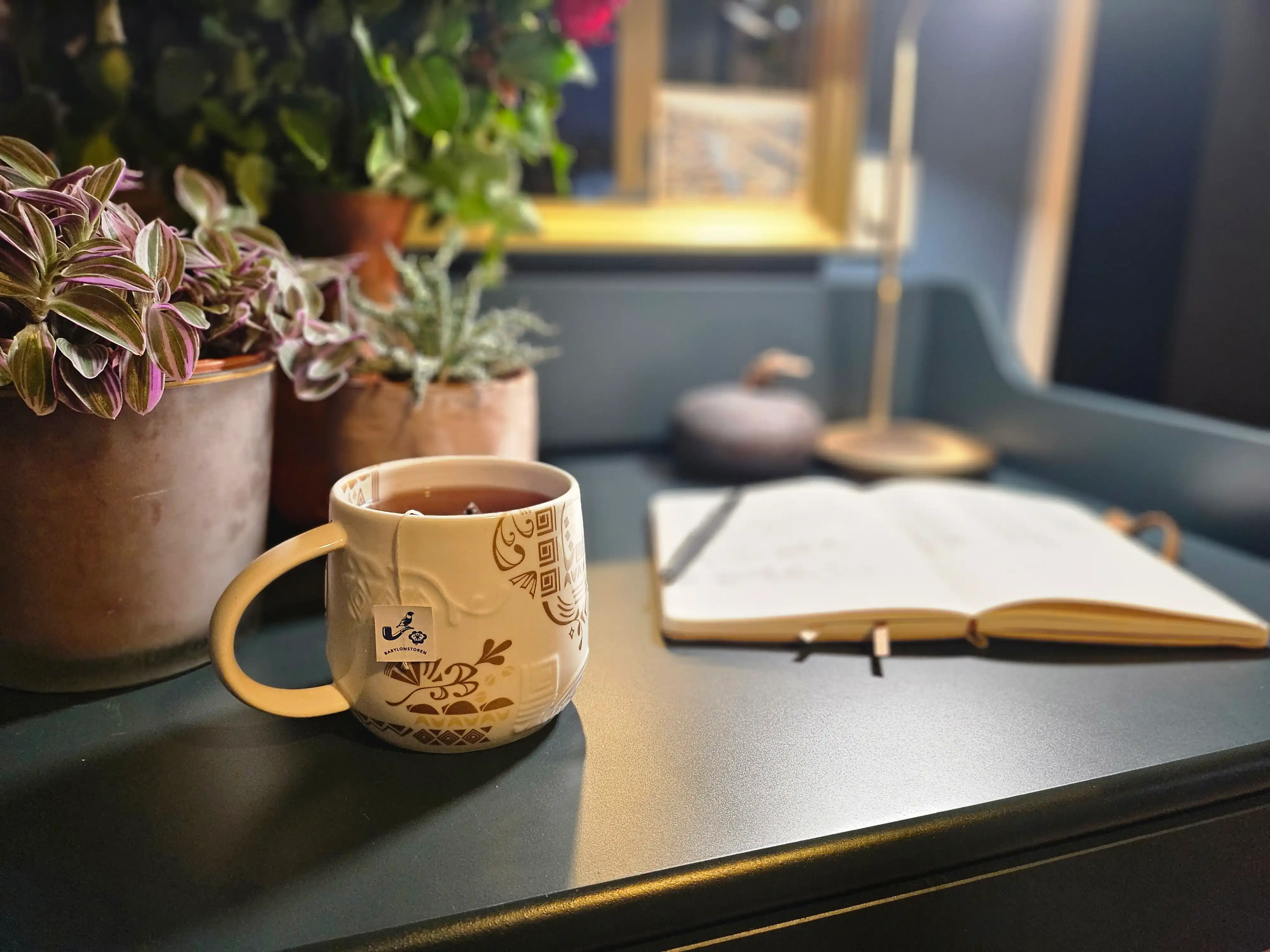 Tea cup with a tea bag on a table next to potted plants and an open notebook in soft light.