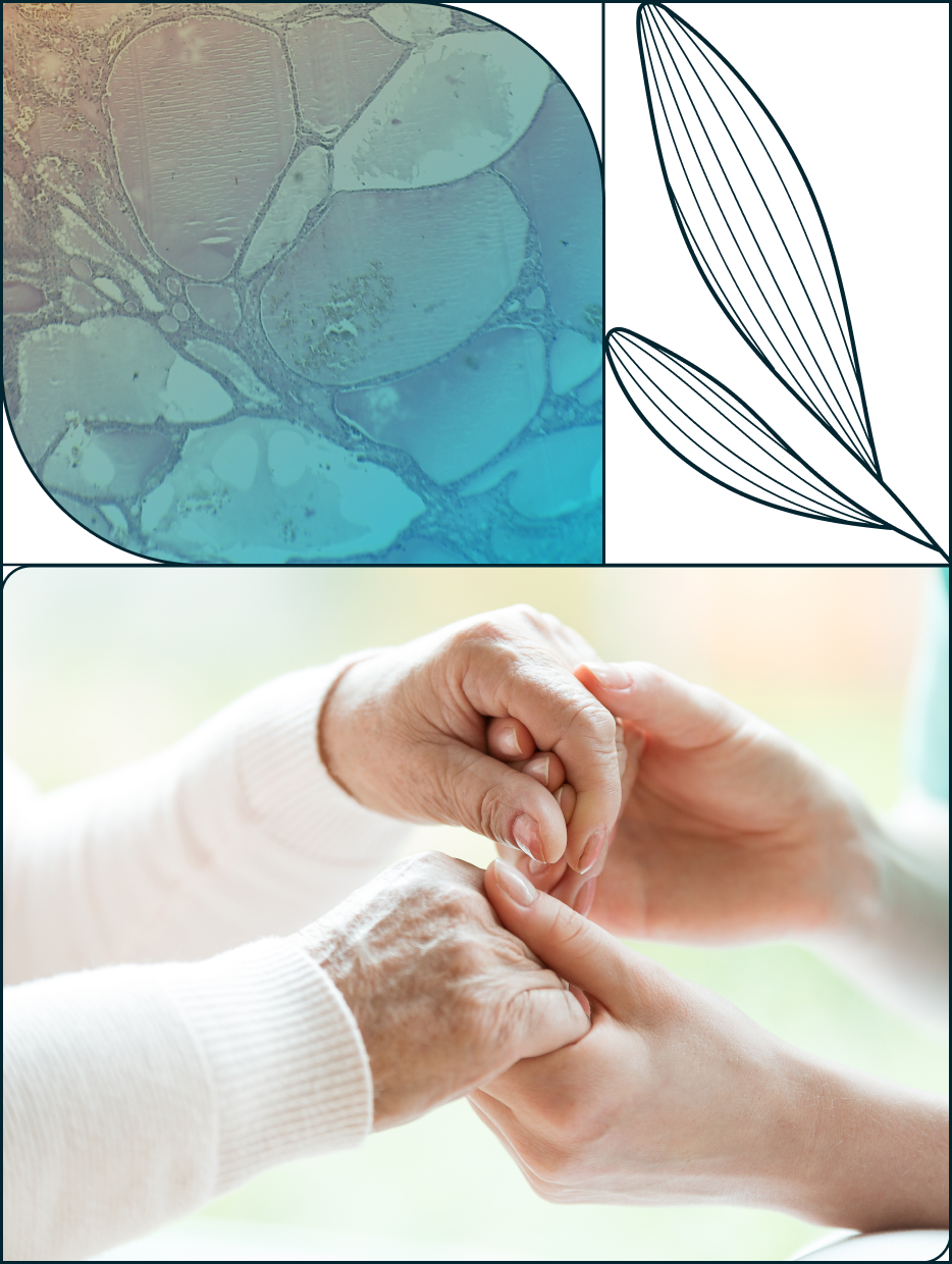 Close-up of two people holding each other's hands