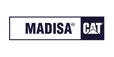 Madisa