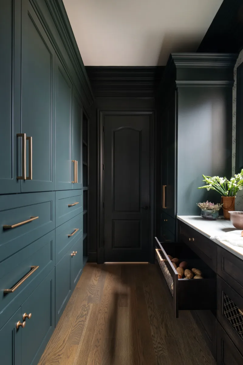 Butler pantry remodel in McGavock Farms, Brentwood. Maison Blanche cabinetry, antique mirror backsplash, and patterned Chili Pepper Papillon tile by Sebring Design Build.