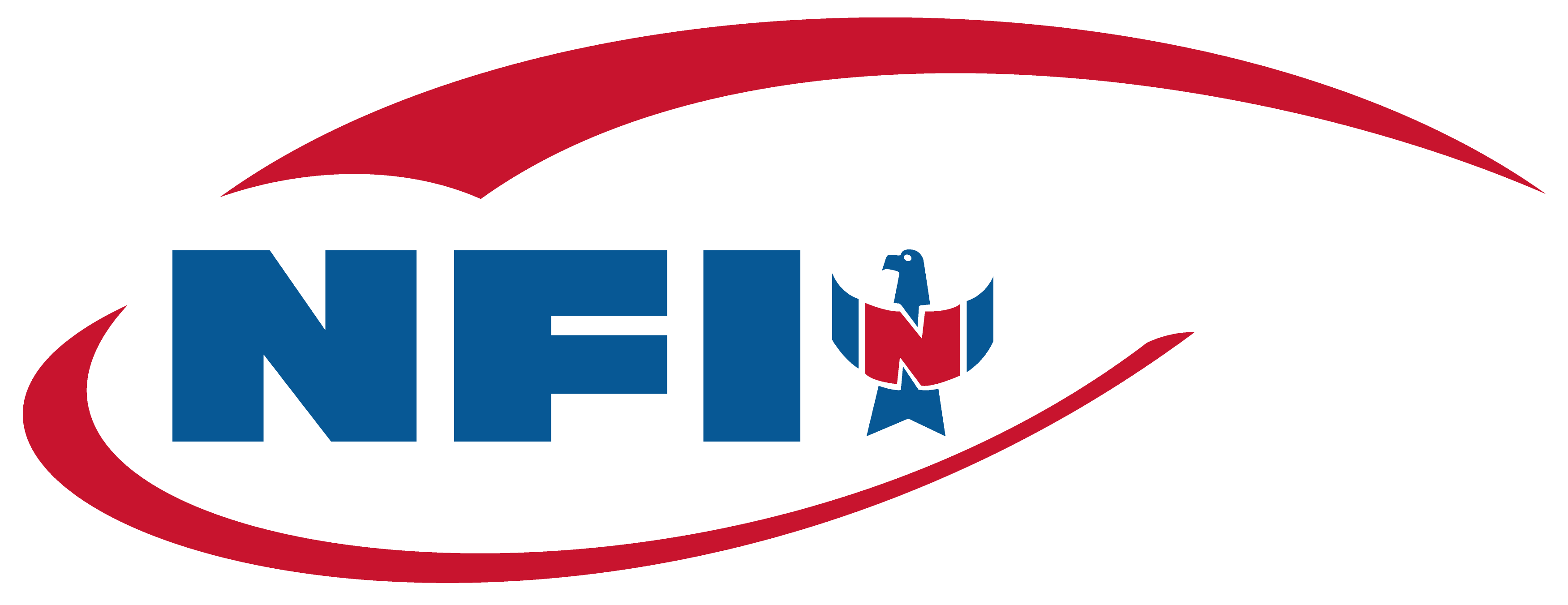 NFI logo